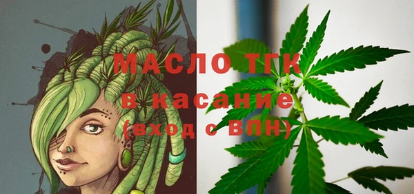 индика Вязники